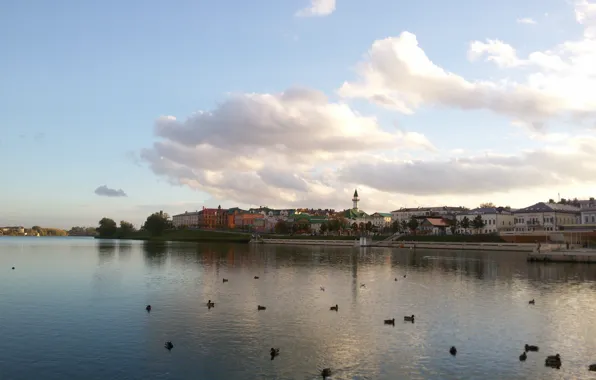 Autumn, Kazan, Tatarstan, the Kaban lake, Duck