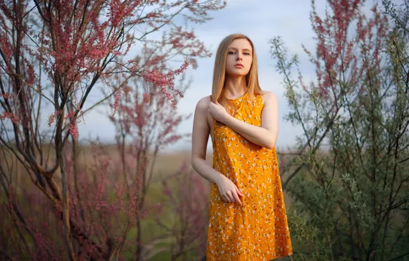 Girl, dress, brown hair, brown eyes, photo, photographer, flowers, model