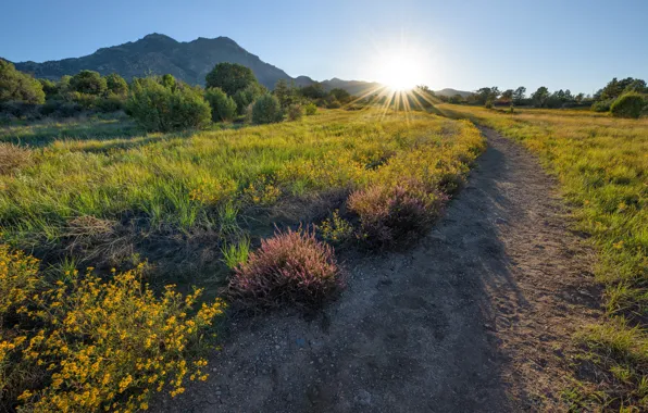 Picture the sun, morning, AZ, USA, Arizona, Prescott, Granite Mountain