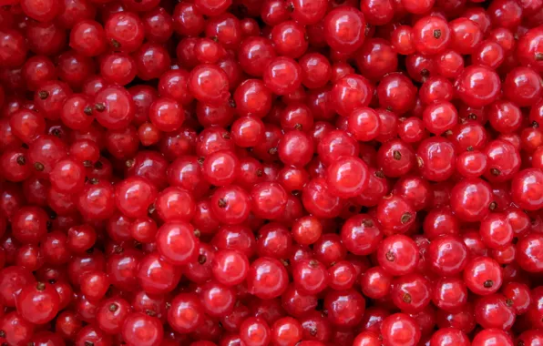 Picture berries, texture, red currant, Kislenko
