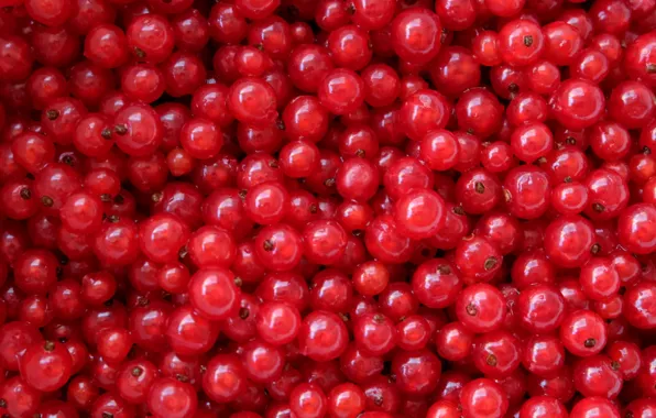 Berries, texture, red currant, Kislenko
