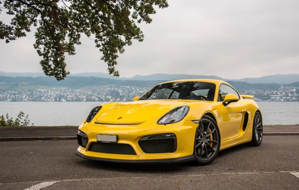 Picture Porsche, Cayman, Yellow, GT4