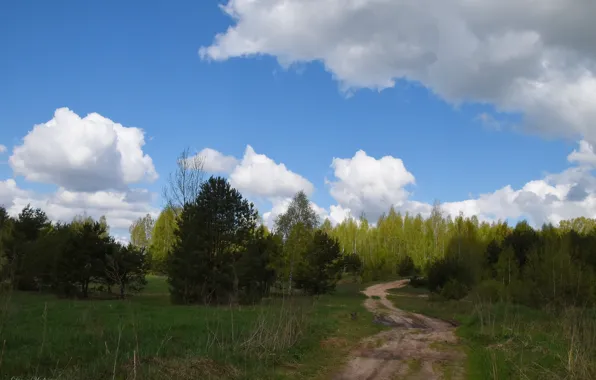 Wallpaper landscape, nature, spring for mobile and desktop, section ...