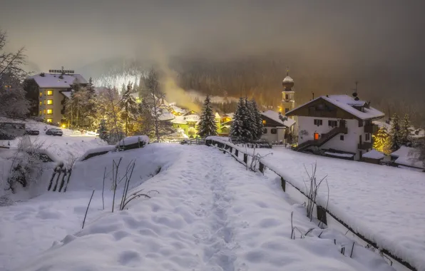 Picture winter, snow, trees, landscape, nature, fog, street, home