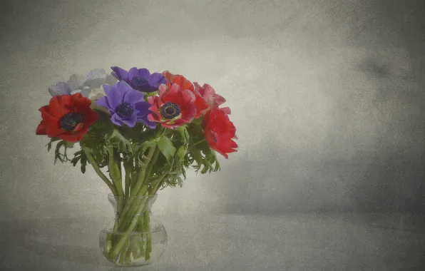 Bouquet, petals, vase