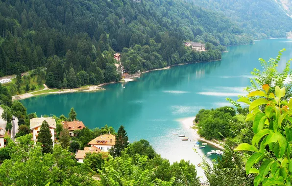 Picture greens, forest, trees, mountains, river, home, Italy, Molveno