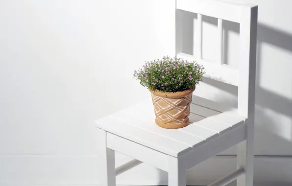 Picture style, minimalism, a flowerpot