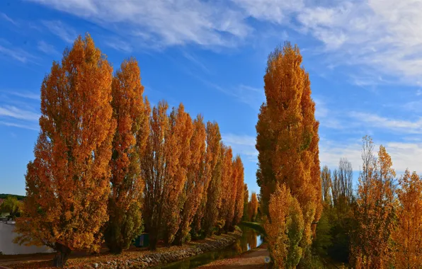 Picture autumn, the sky, trees, channel