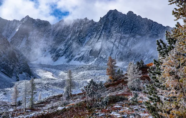 Picture clouds, snow, trees, landscape, mountains, nature, Evgeny Drobotenko, Rudny Altai