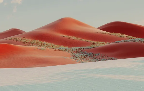 Wallpaper, desert, Microsoft, Surface