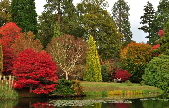 Autumn, trees, bench, pond, Park, stay, UK, lawn