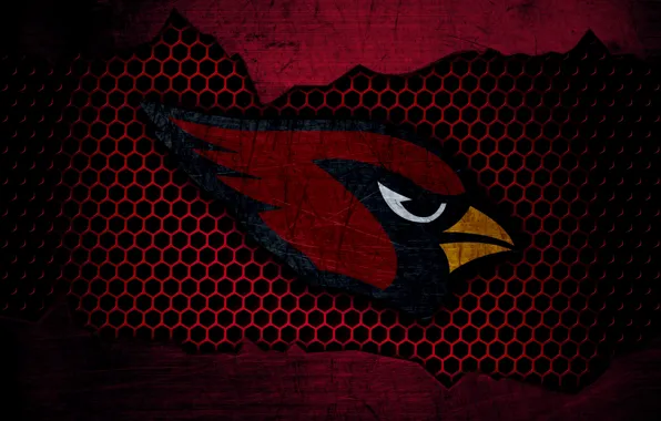 Picture American football, Arizona Cardinals, wallpaper, logo, nfl, Sport