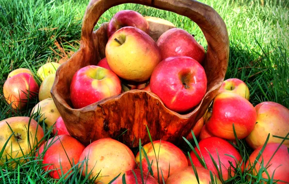 Picture summer, grass, nature, basket, apples, food, red, fruit