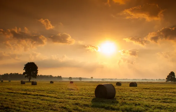 Picture field, landscape, sunset, nature, hay