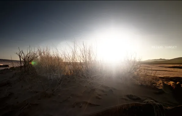 Picture sand, the sky, the sun, the inscription, desert, shrub, mojave sunset, sunset in the Mojave