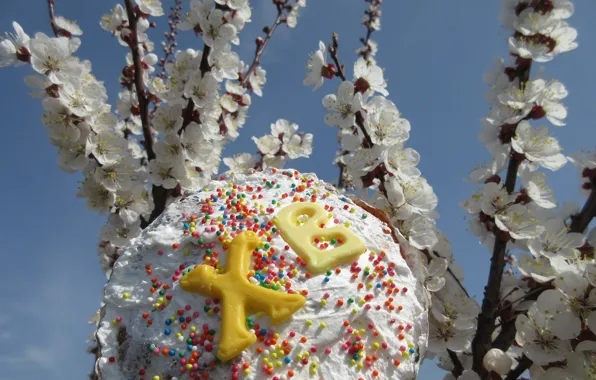 Easter, cake, spring 2018, meduzanol ©
