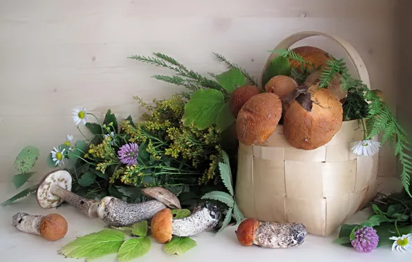 Flowers, mushrooms, dill, still life, basket, white mushrooms