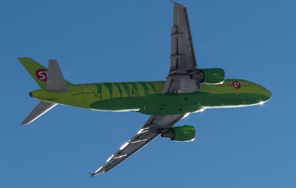 The sky, green, the plane