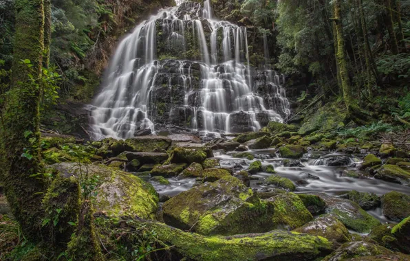 Forest, stones, waterfall, Australia, river, cascade, Australia, Tasmania