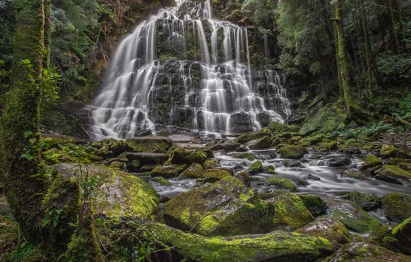 Picture forest, stones, waterfall, Australia, river, cascade, Australia, Tasmania