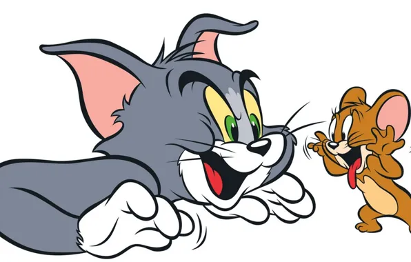 Picture cat, cartoon, mouse, Tom, Tom and Jerry, tom, Jerry, Jerry