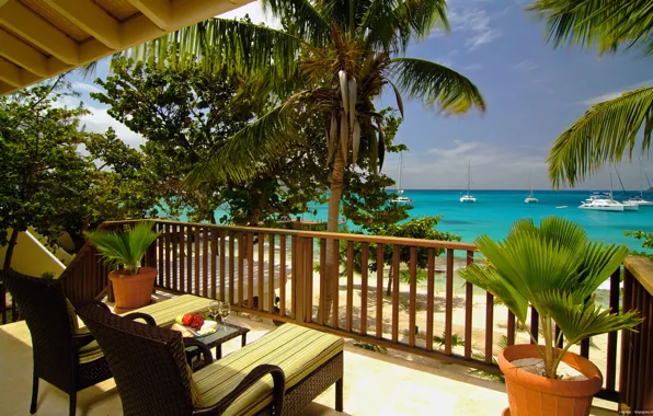 Sea, Yachts, Palm trees, Tropical island