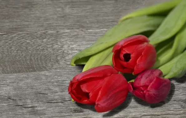 Flowers, Board, bouquet, tulips, red, trio