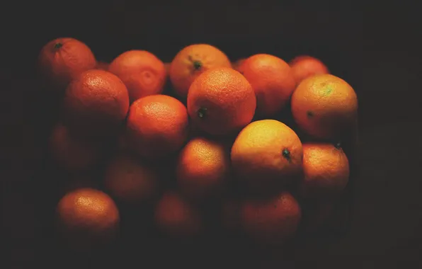 Oranges, fruit, orange