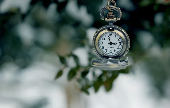 Watch, dial, bokeh