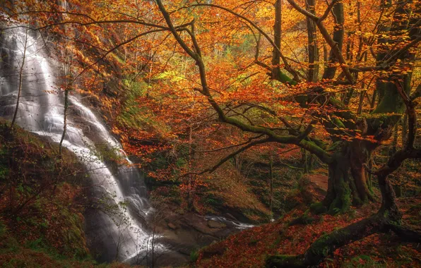 Autumn, forest, trees, waterfall, Spain, cascade, Spain, Biscay