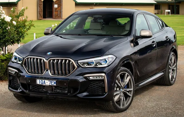 House, tree, black, BMW, BMW, lawn, Playground, BMW X6