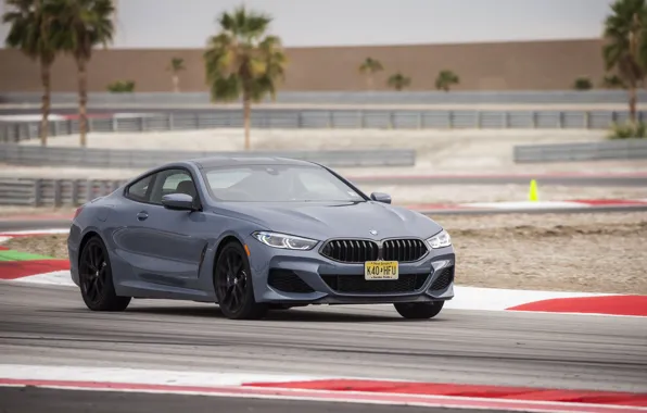 Coupe, BMW, curves, track, 2018, gray-blue, turns, 8-Series