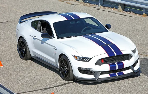 Mustang, Ford, Shelby, GT350R, Raceway, Grattan, at