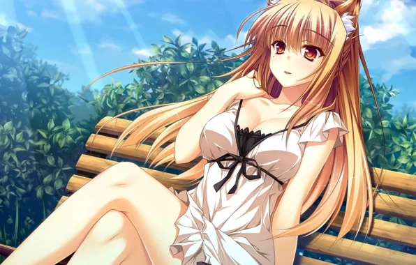 Girl, sexy, cleavage, long hair, boobs, anime, beautiful, pretty
