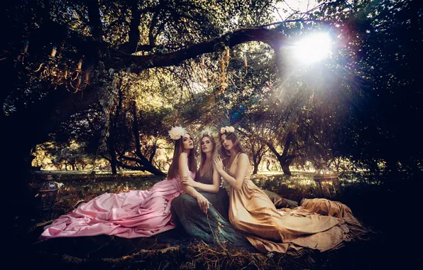 The sun, trees, girls, portrait, three, model, nature, outfits
