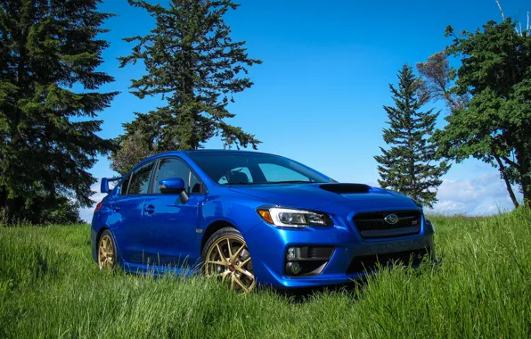 Subaru, WRX, Blue, STI