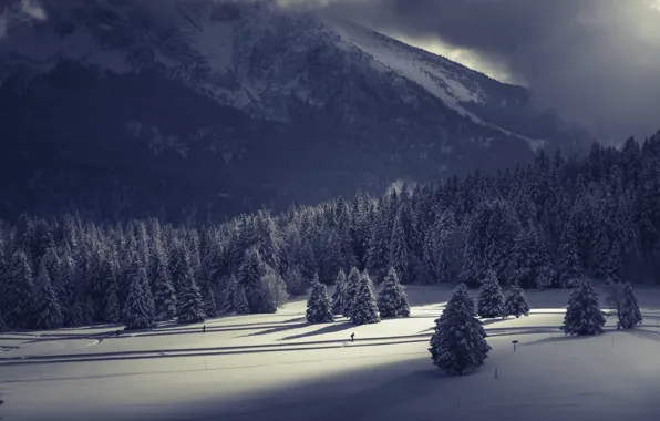 Winter, mountains, skier