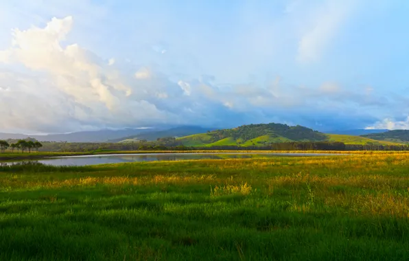 Greens, the sky, grass, water, clouds, trees, landscape, nature