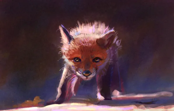 Nature, Fox, ruffled, by Meorow