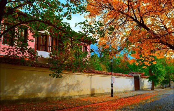 The city, Autumn, House, Street, House, Fall, Autumn, Street