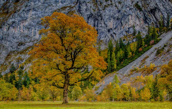 Autumn, trees, Austria, Alps, Austria, Alps, Karwendel, Karwendel