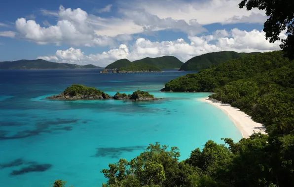 Picture shore, water, sea, summer