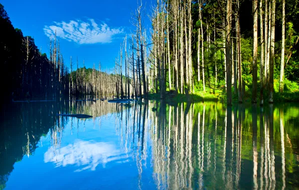 The sky, trees, mountains, lake, reflection