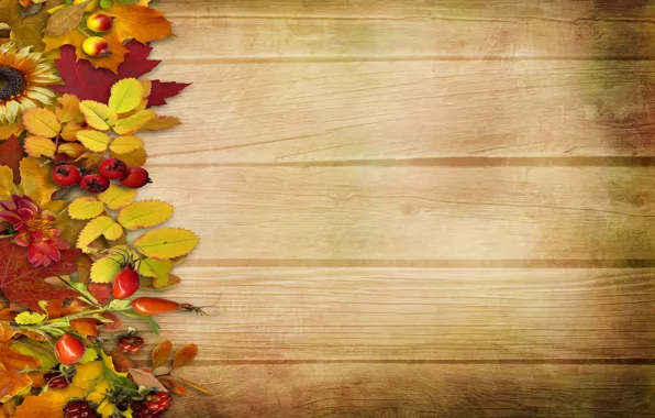 Autumn, leaves, flowers, berries, background, tree, vintage, background