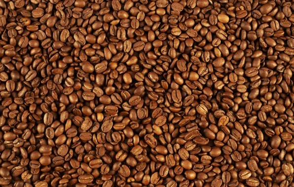 Picture pattern, coffee beans, many