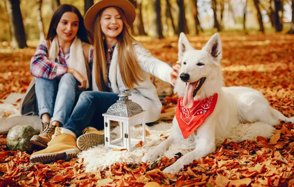 Autumn, girl, nature, pose, Park, girls, glade, dog