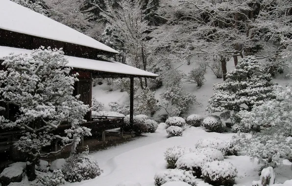 Japan, House, House, Japan, Winter Garden, Snow Trees, Snow Trees, Winter Garden