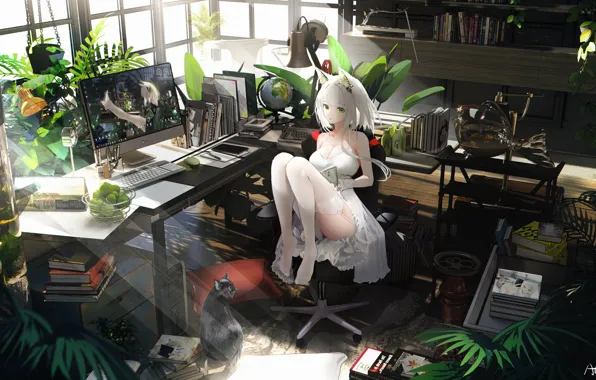 Cat, girl, monitor, ears, Arknights, Calcite