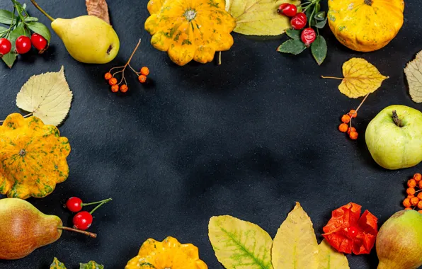 Autumn, leaves, briar, pumpkin, pear, Rowan