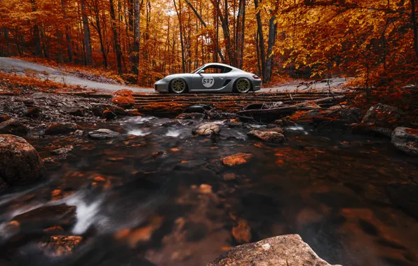 Porsche, Cayman, Orange, Side, View, Stance, Forest, Works